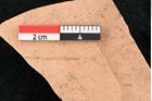 Foto (Detailansicht) von Pinus palaeotaeda Ettingshausen (NHMW-GEO-2024-0188-7959)